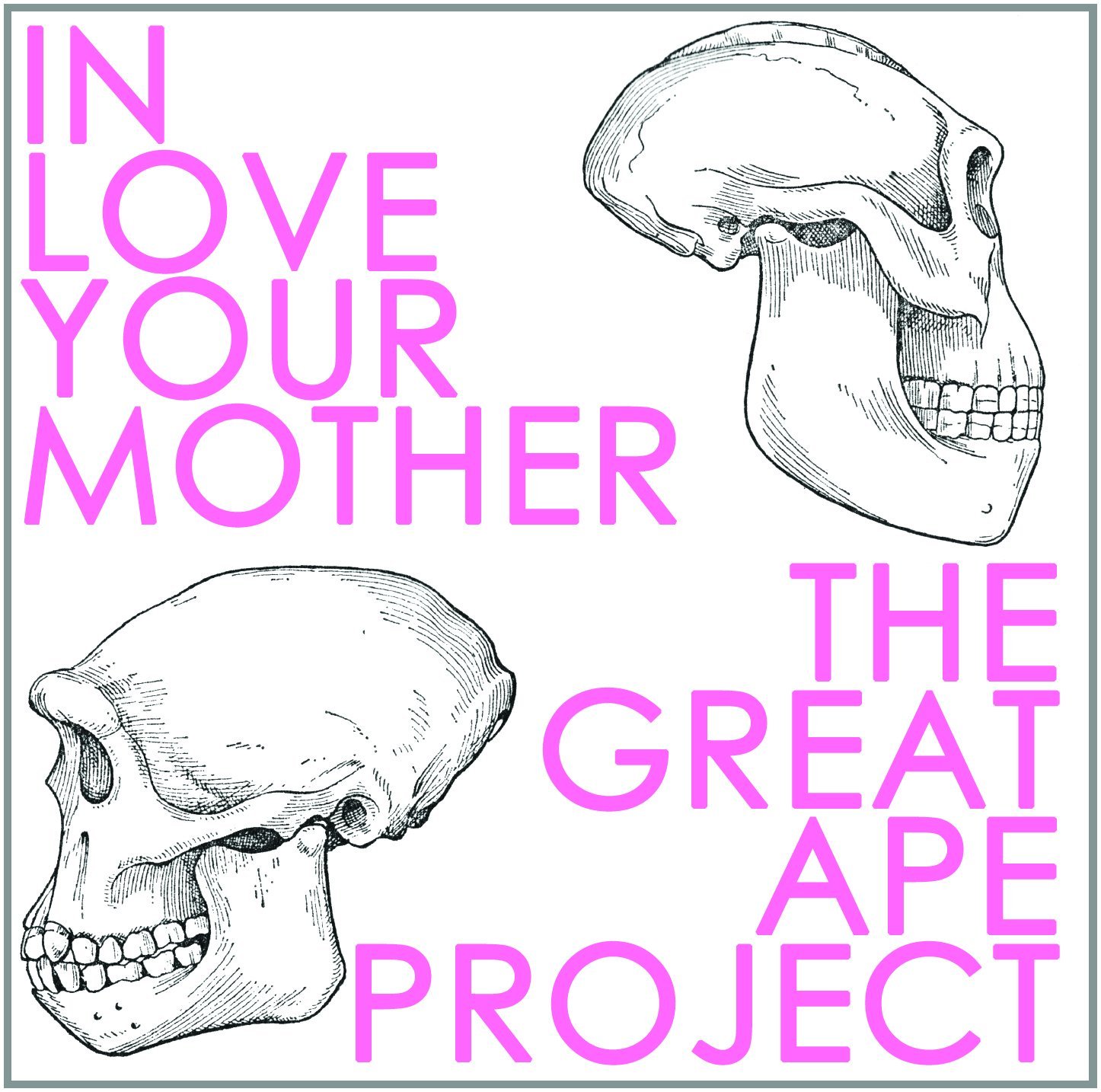 Die neuen Alben im Oktober 2014