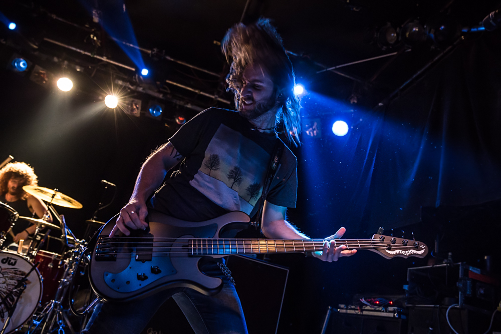 Black Stone Cherry live, 17.10.2014, Nürnberg: Hirsch