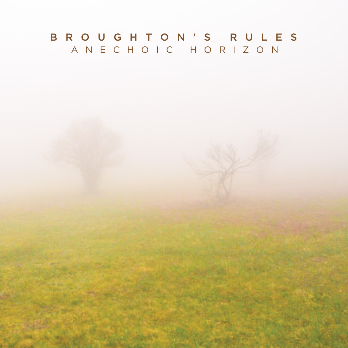 Broughton's Rules ANECHOIC HORIZONS