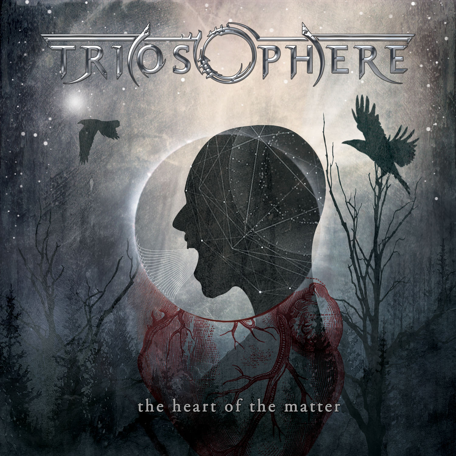 Triosphere THE HEART OF THE MATTER