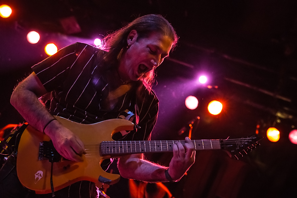 Scene X Dream live, 26.11.2014, Nürnberg: Hirsch