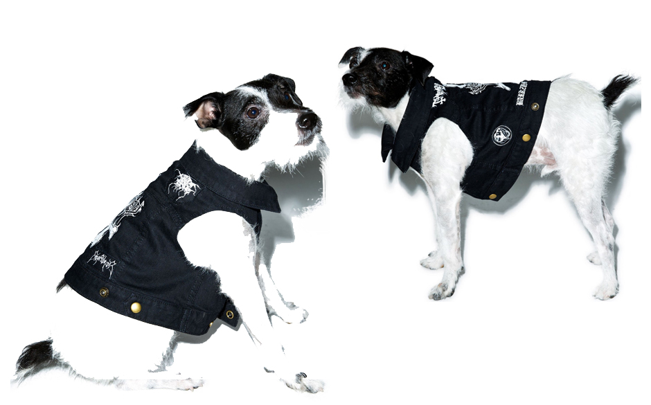 Hundekutte "Party Animalz"