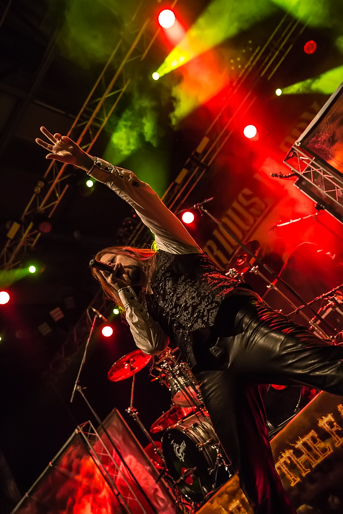 Serious Black live, 07.02.2015, Bamberg, Brose Arena