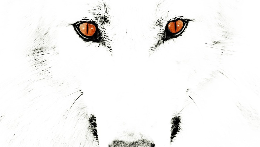 Wolfpakk RISE OF THE ANIMAL