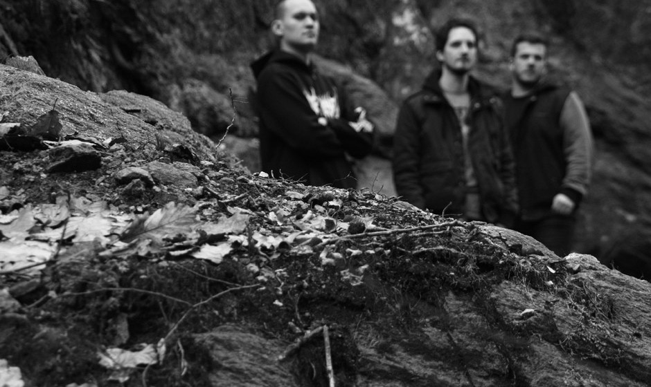 Der Weg einer Freiheit, Promo 2012