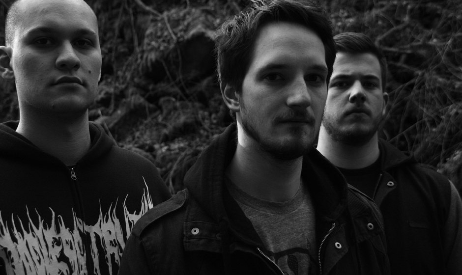 Der Weg einer Freiheit, Promo 2012