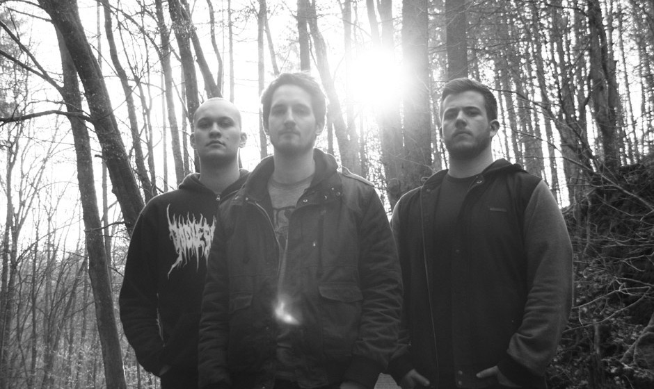 Der Weg einer Freiheit, Promo 2012