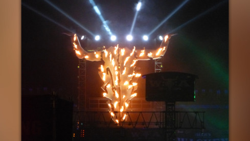 Wacken Open Air 2014: Die Fotos der Fans