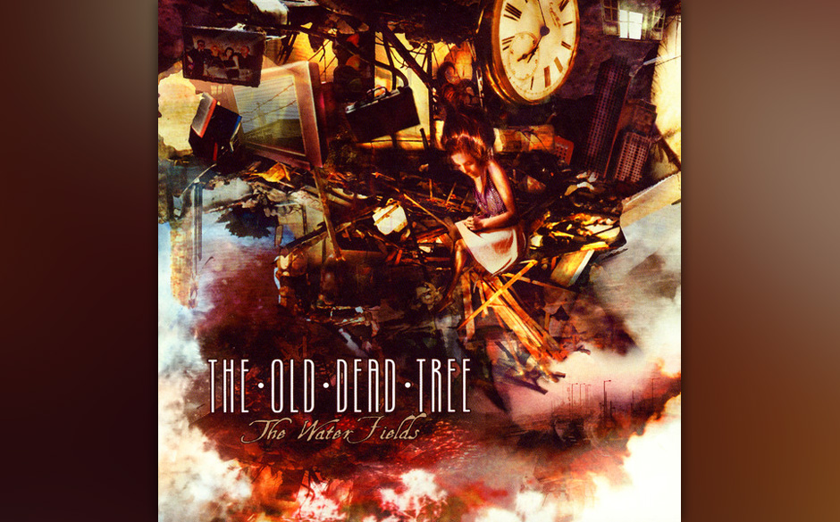 The Old Dead Tree THE WATER FIELDS (2007)