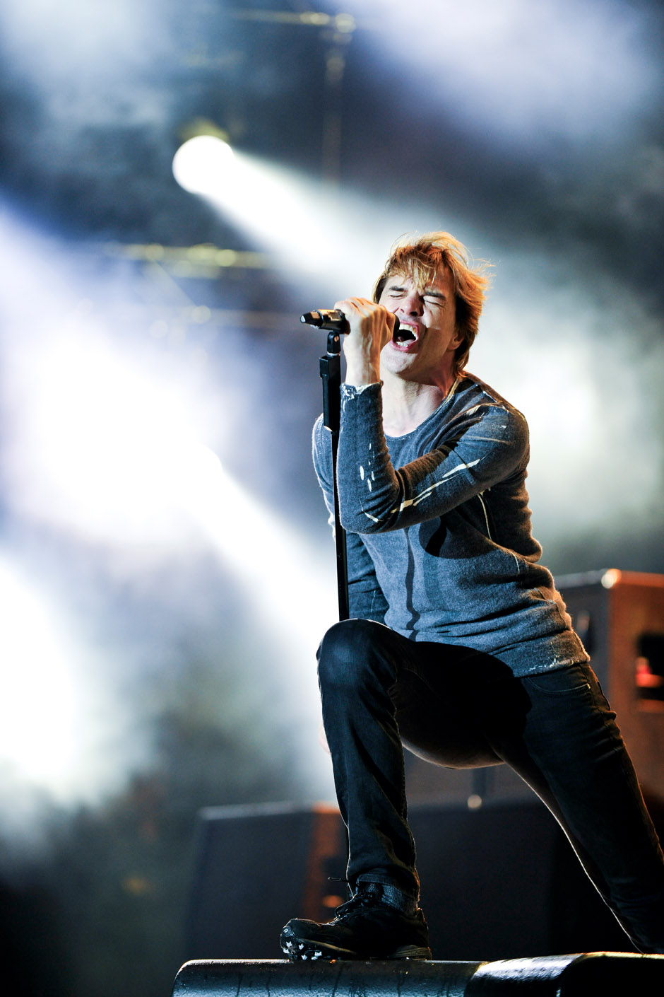 Die Toten Hosen, Rock am Ring 2012