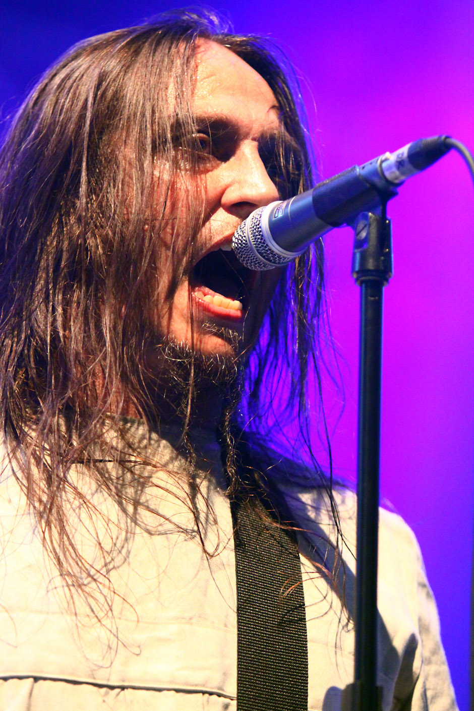 Pain live, Bang Your Head 2012