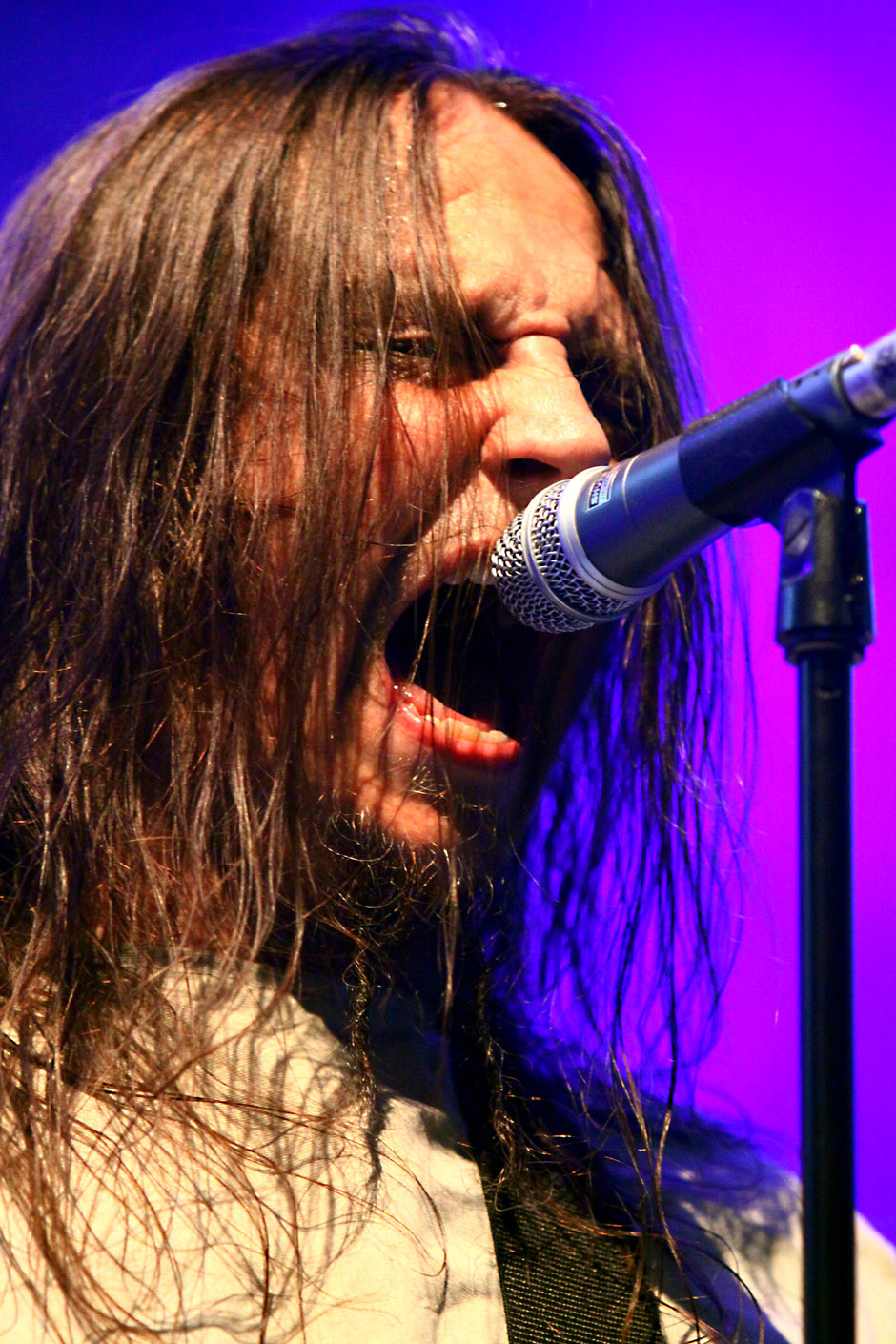 Pain live, Bang Your Head 2012