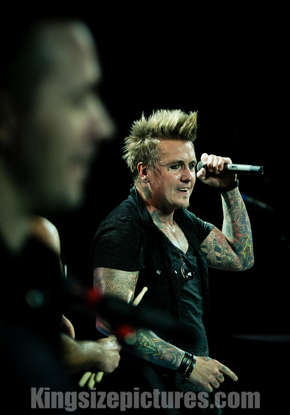 Papa Roach live, 30.11.2012, Wien