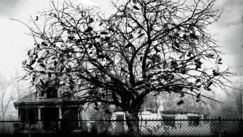 King 810 – Memoirs Of A Murderer