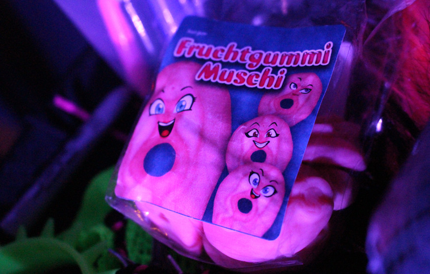 Auf Tour mit Steel Panther 2015