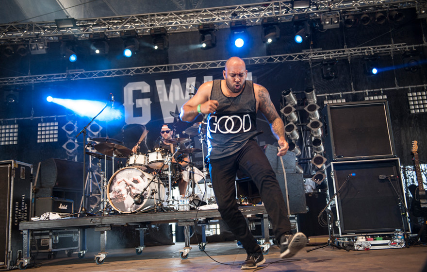 With Full Force 2015, Gwlt