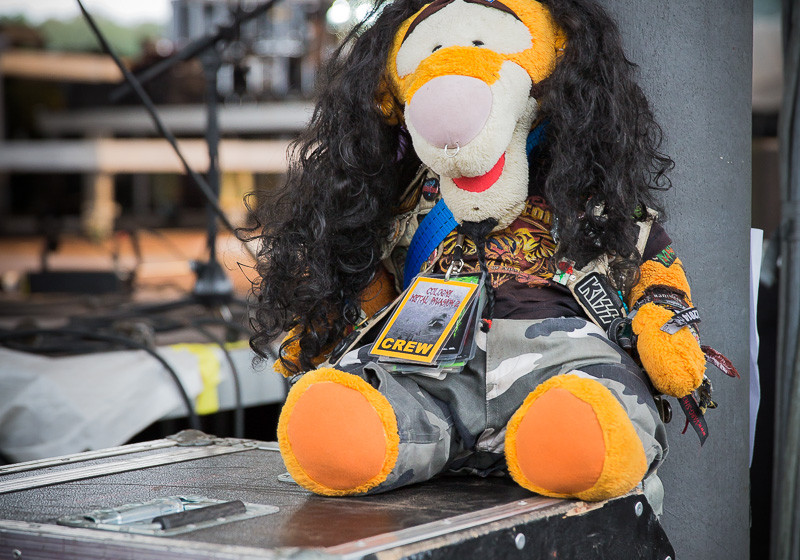 Noch ein Bier Fest 2015, Atmo & Publikum15