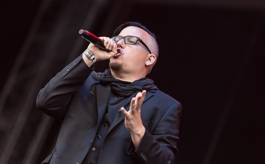 LameImmortelle (5 von 10)