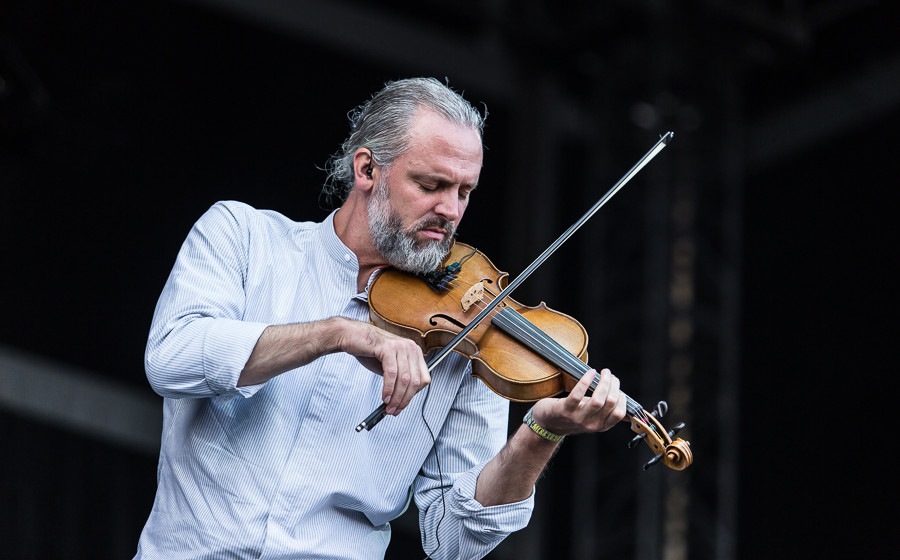 Versengold (5 von 9)