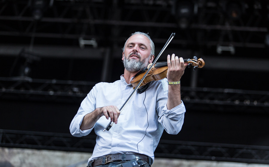 Versengold (6 von 9)