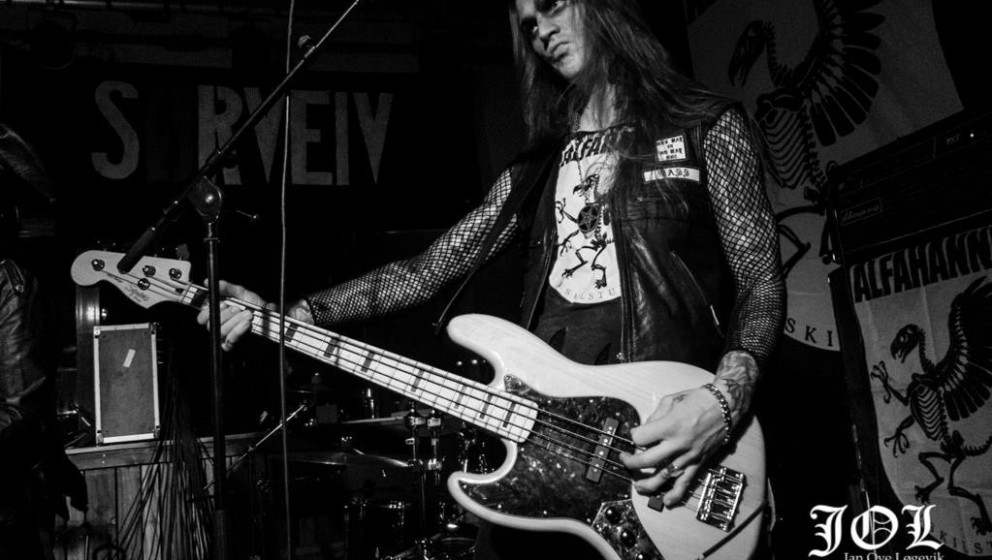 Alfahanne, Sørveiv 201510