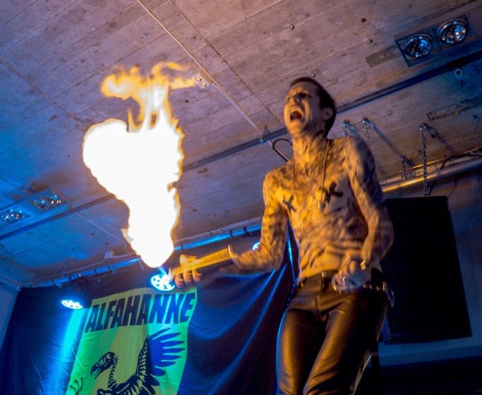 Alfahanne, Sørveiv 201512