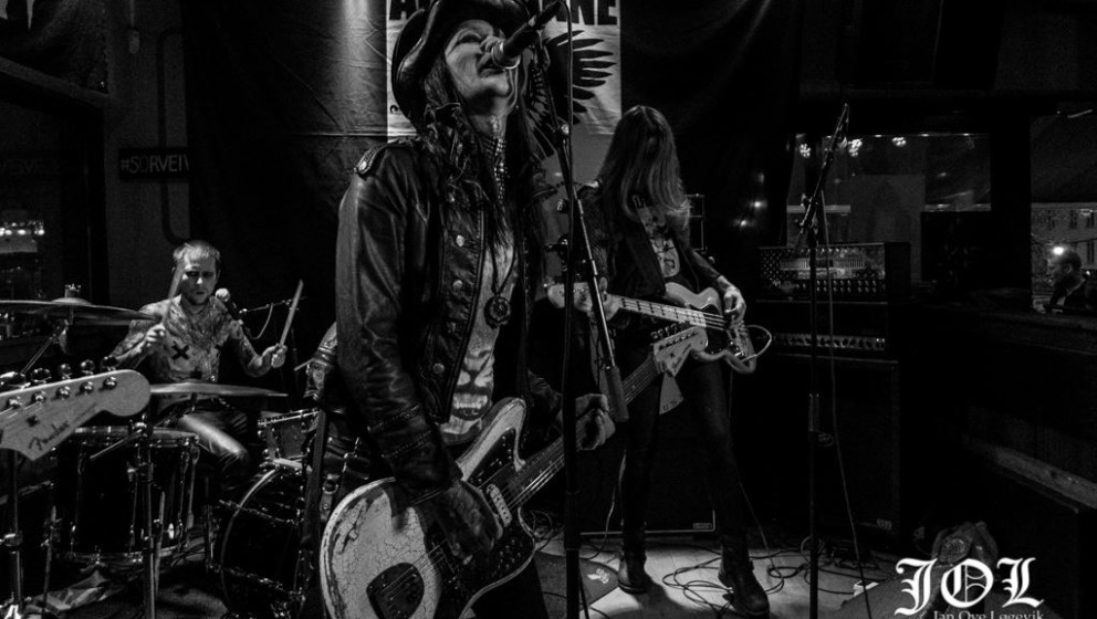 Alfahanne, Sørveiv 201513