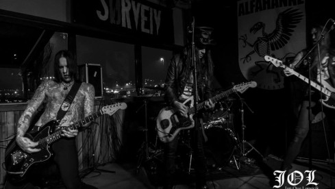 Alfahanne, Sørveiv 201514