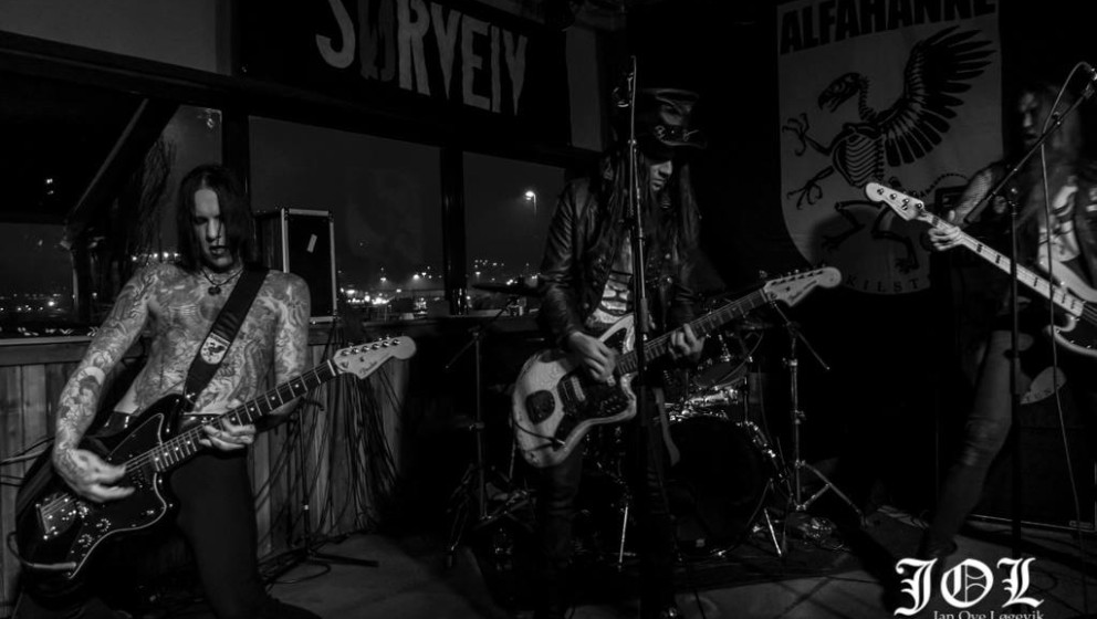 Alfahanne, Sørveiv 201514