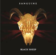 Sanguine BLACK SHEEP