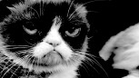 Grumpy Cat Black Metal
