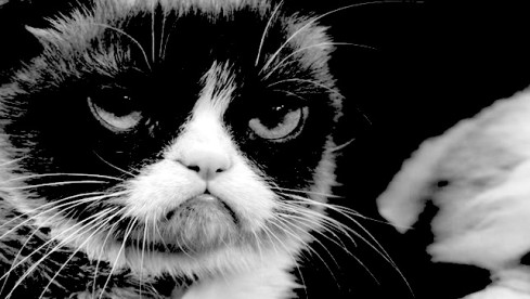 Grumpy Cat Black Metal
