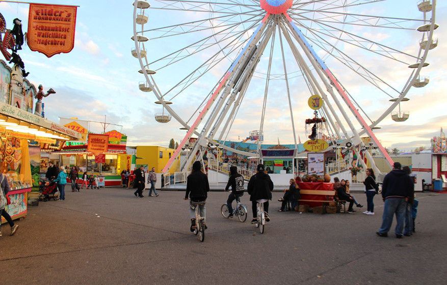 Auf Tour mit Bullet For My Valentine 2015 202