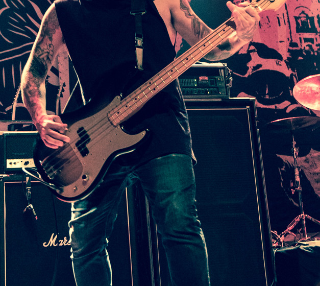 Stray From The Path06