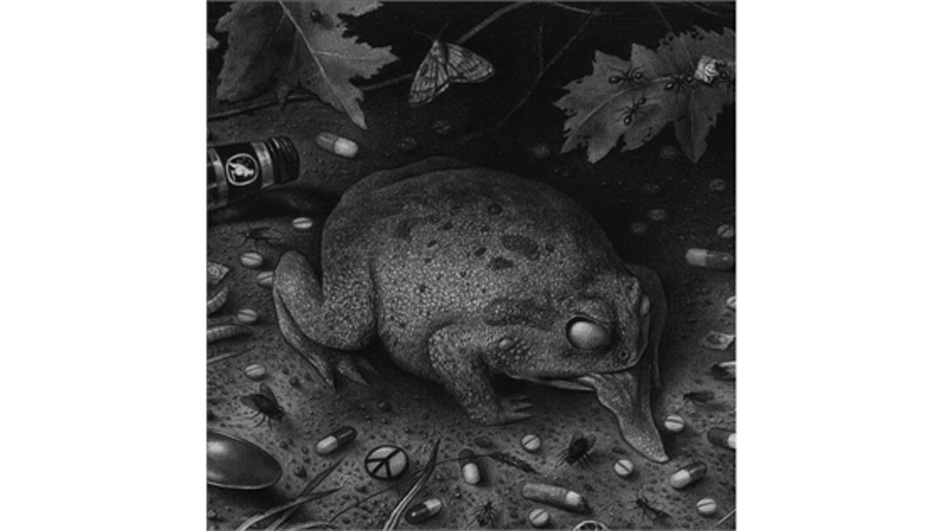 Tusmørke FØRT BAK LYSET