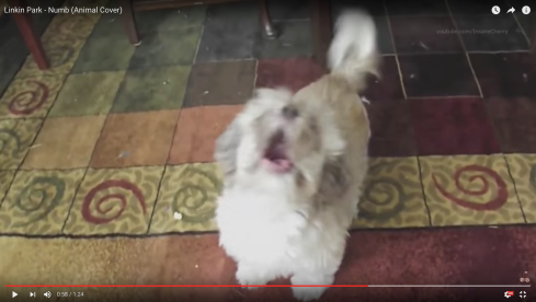 Bildschirmfoto 2016-04-25 um 14.51.46