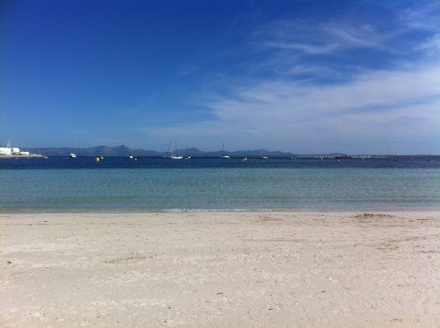 13177110_10154267293682859_2574129012395122444_n