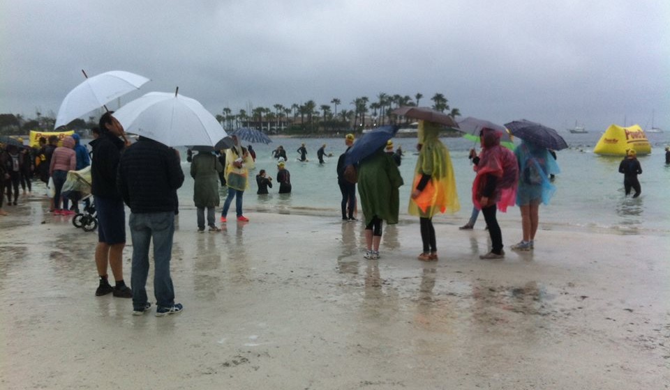 13177450_10154274308102859_8985610951030989627_n