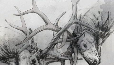 Harakiri For The Sky III- TRAUMA