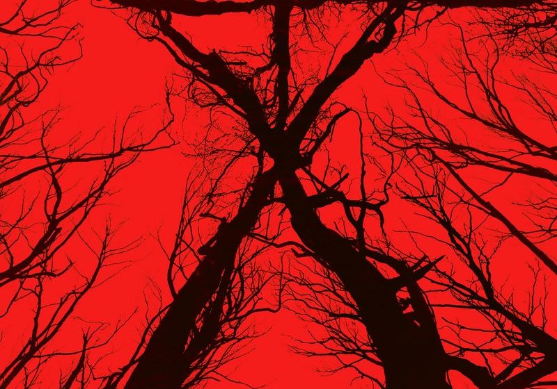 Gewinnt ein ‘Blair Witch’-Plakat