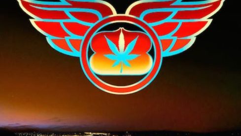 bjork-brant-tao-of-the-devil-lp