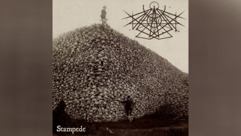 Nightkin - STAMPEDE EP