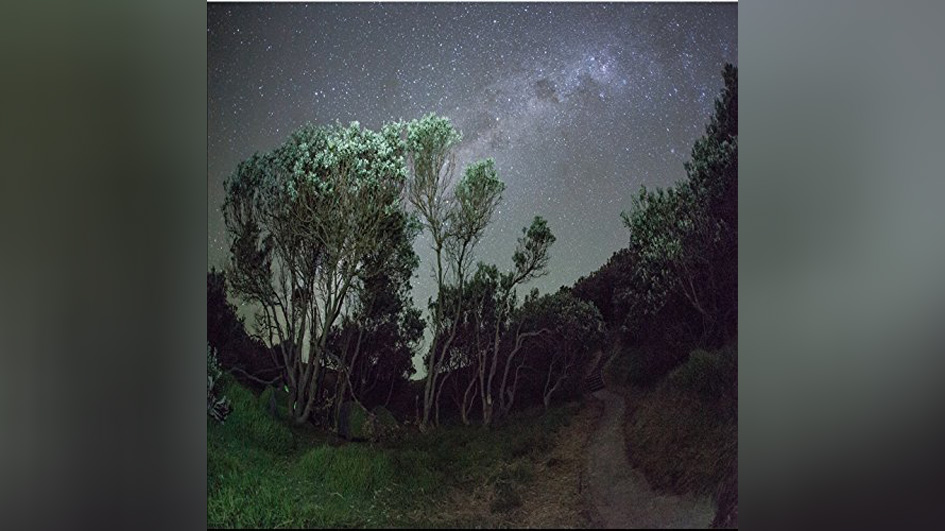 Esben And The Witch OLDER TERRORS