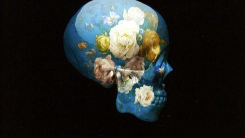 As Lions SELFISH AGE