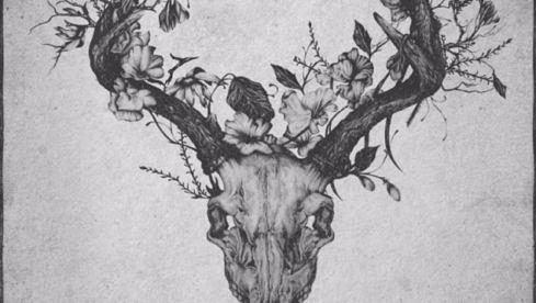 our-hollow-our-home-hartsick