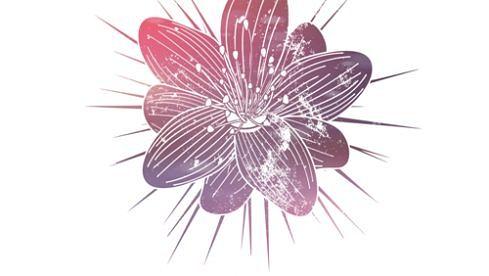 Pocket Pak-final_Pfadekonvertiert-print