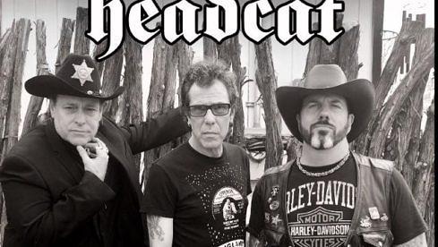 headcat_david_vincent