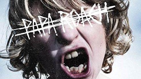 Platz 5: Papa Roach CROOKED TEETH