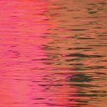 Silverstein DEAD REFLECTION