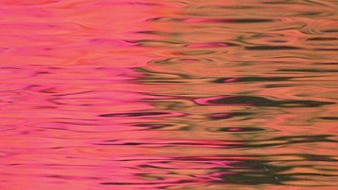 Silverstein DEAD REFLECTION